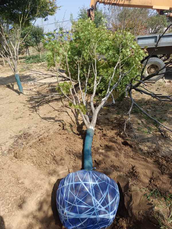 1734244557209120.jpg IMG_20220925_140057.jpg