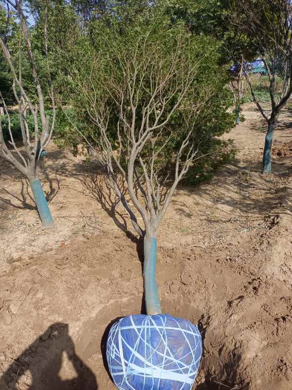 1734244697149386.jpg IMG_20220925_140106.jpg