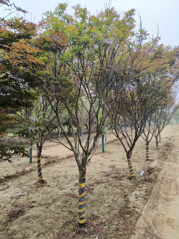 1734246128514397.jpg IMG_20230519_132904.jpg