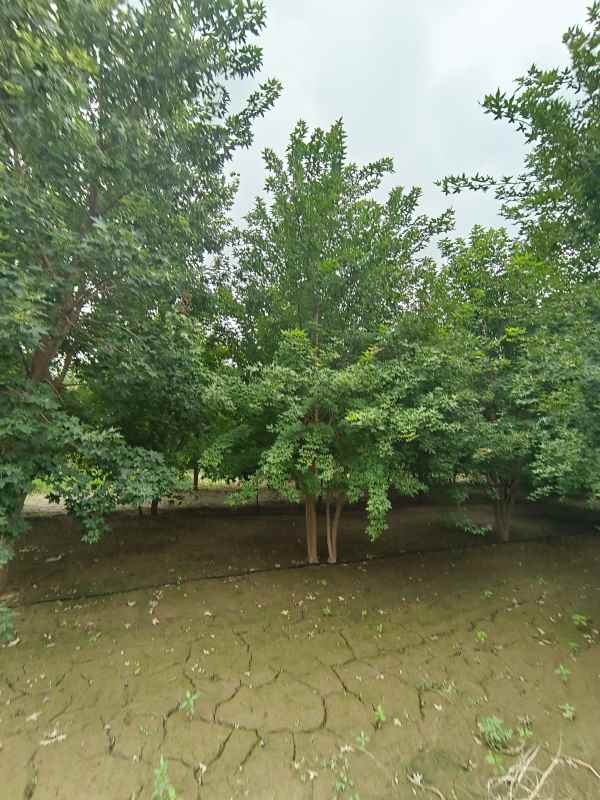 1734488727583763.jpg IMG_20230818_101952.jpg