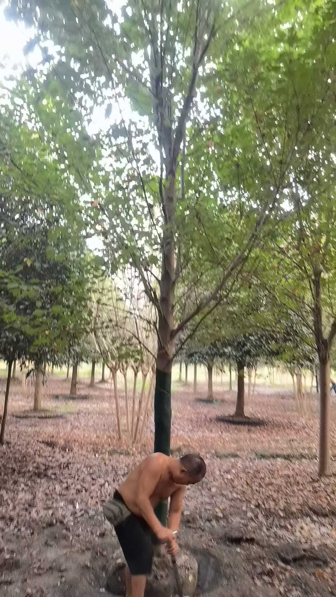 1759315012672644.jpg 1750404445980494.jpg